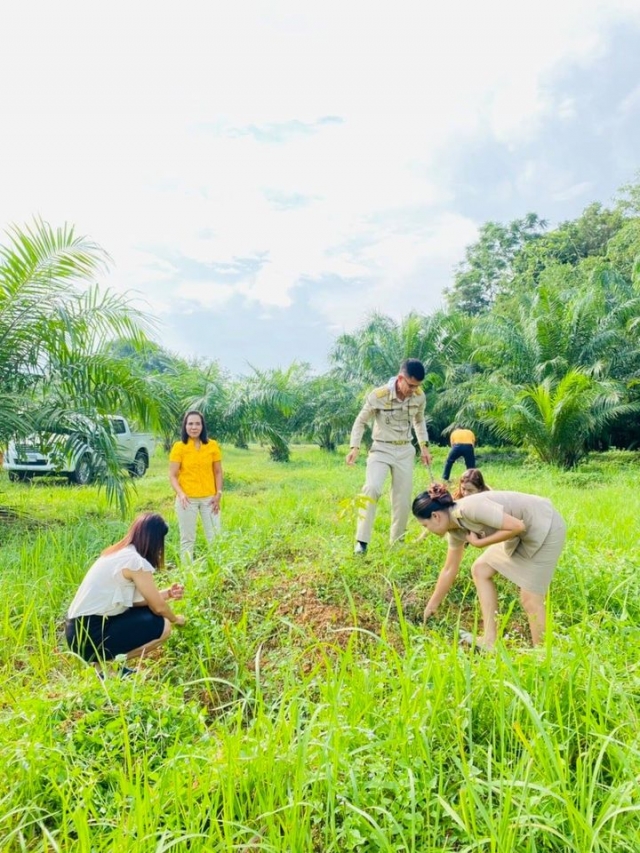 ปรับเปลี่ยนภูมิทัศน์บริเวณ สวนทุเรียนและสวนมะนาว ของ อบต.นาท่ามเหนือ